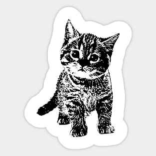 The kitten Sticker